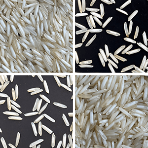 1121 Basmati Rice