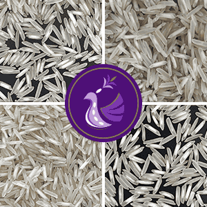 1509 Basmati Rice