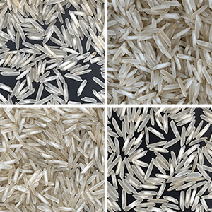 1509 Basmati Rice