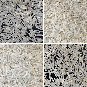 Traditional Basmati Rice