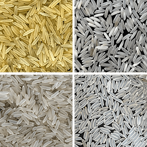 Parmal Rice