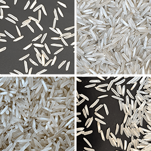 1401 Basmati Rice